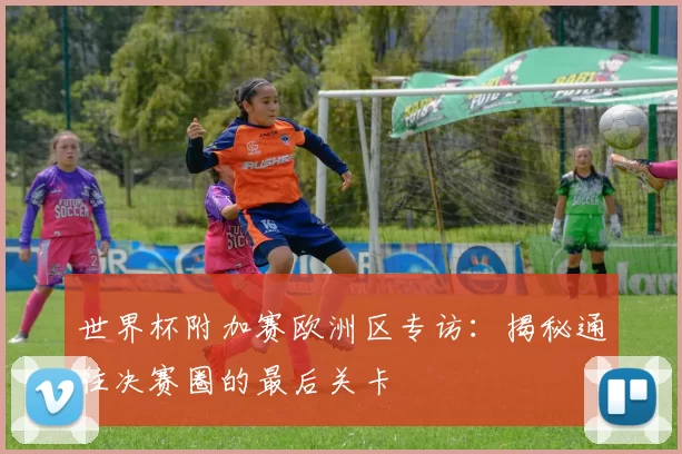 世界杯附加赛欧洲区专访:揭秘通往决赛圈的最后关卡