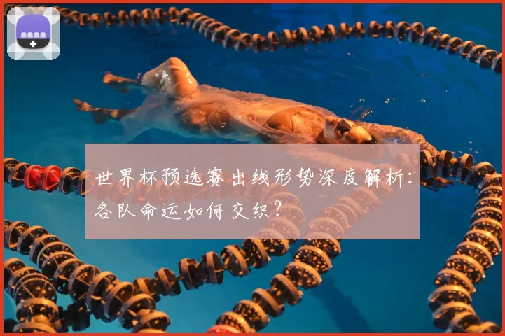 世界杯预选赛出线形势深度解析：各队命运如何交织？