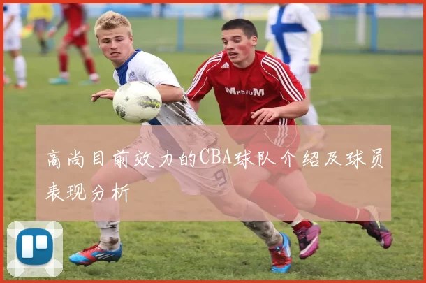 高尚目前效力的CBA球队介绍及球员表现分析