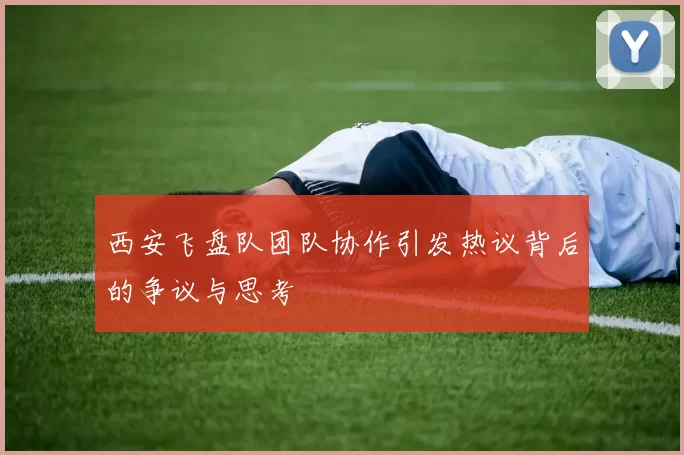 西安飞盘队团队协作引发热议背后的争议与思考