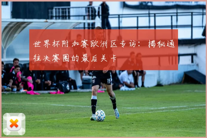 世界杯附加赛欧洲区专访:揭秘通往决赛圈的最后关卡