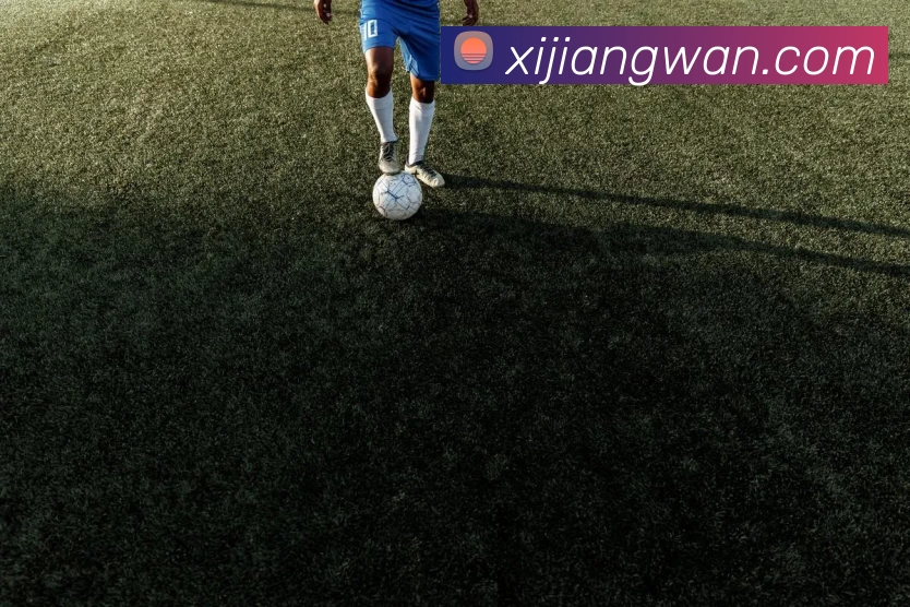 多彩内容专区